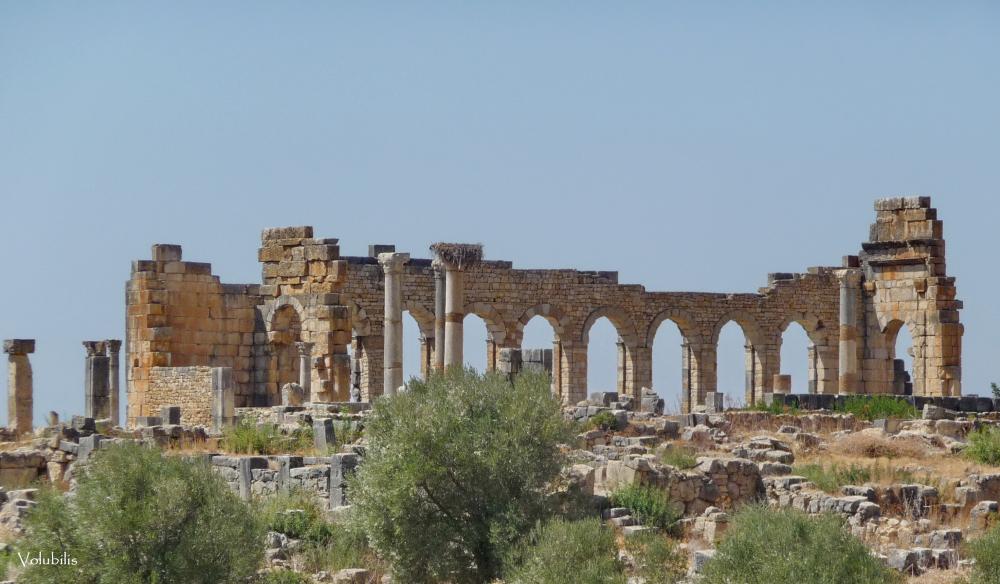 VOLUBILIS.JPG